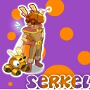 Avatar de serkel