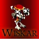 Avatar de wiskar