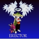 Avatar de erector